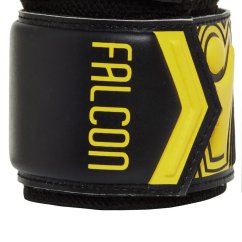 Dětské brankářské rukavice Macron Falcon XF GK
